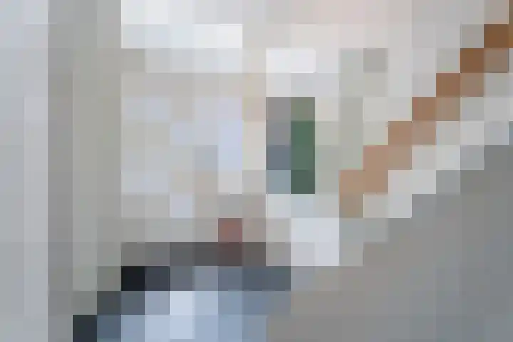 Kanariestraat 35 Breda thumbnail 9