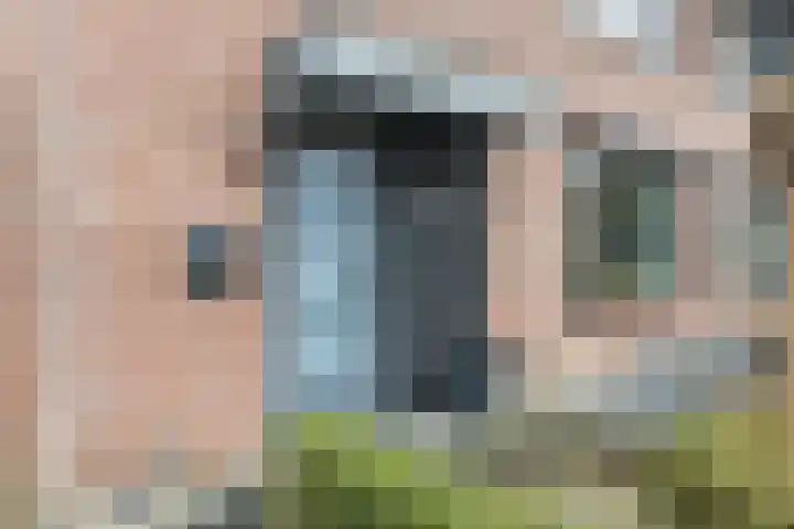 Kanariestraat 4 Eys thumbnail 32