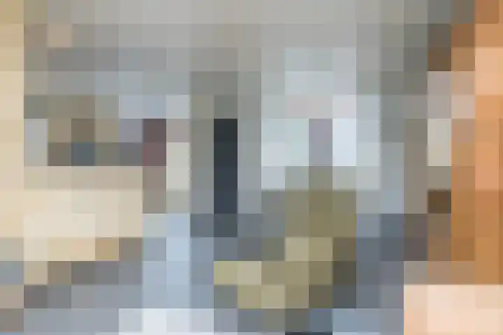 Kanariestraat 4 Eys thumbnail 5