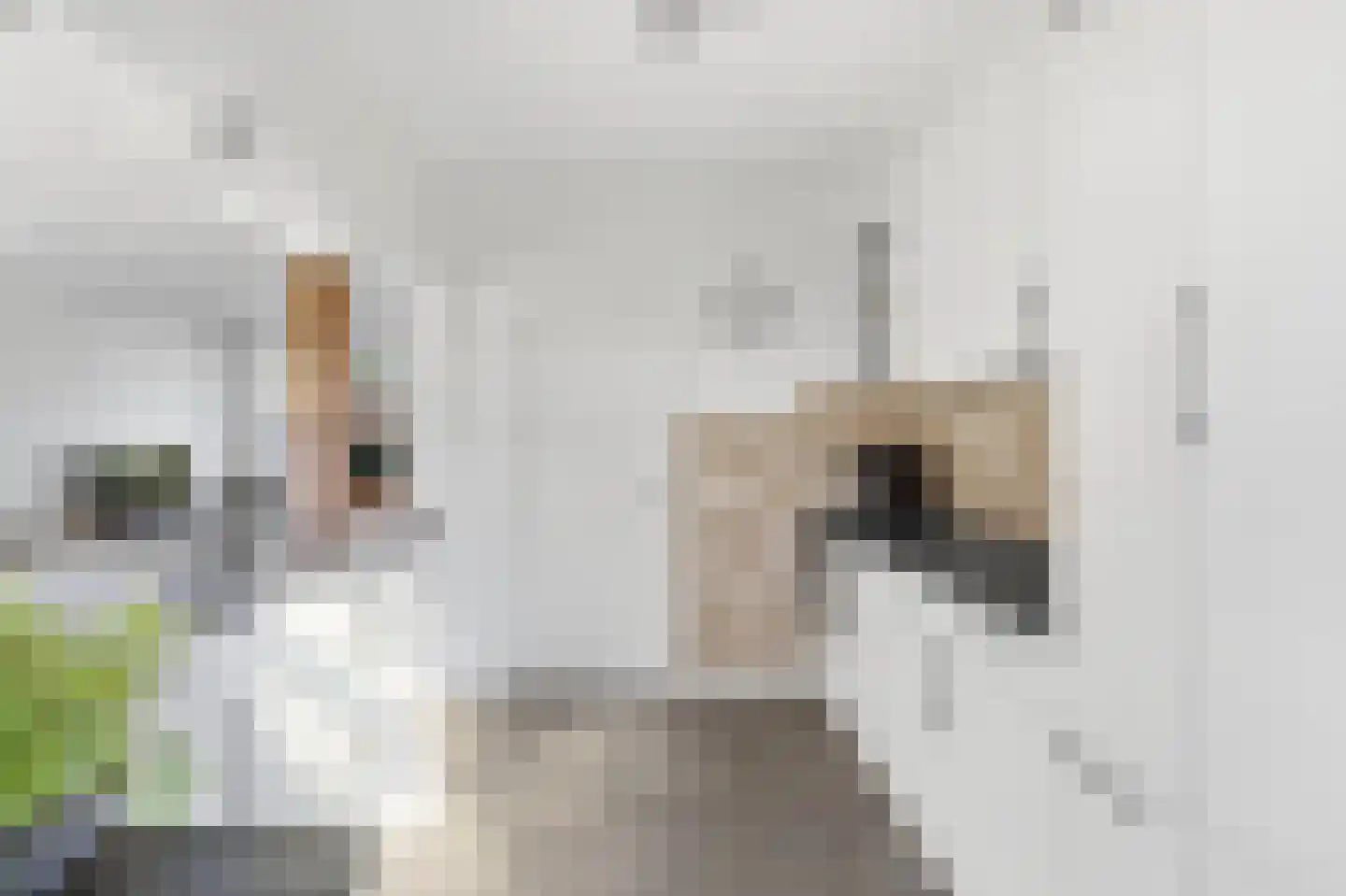Kanariestraat 45 Mill thumbnail 10