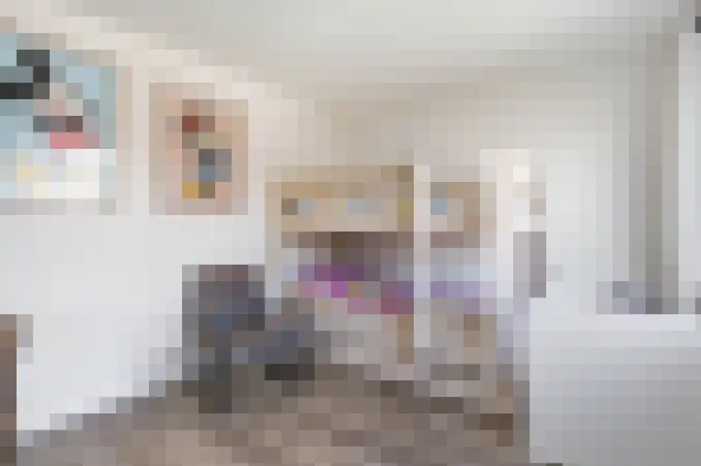 Kanariestraat 45 Mill thumbnail 20