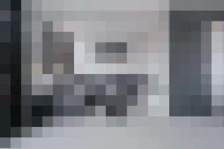 Kanariestraat 5 Spijkenisse thumbnail 10