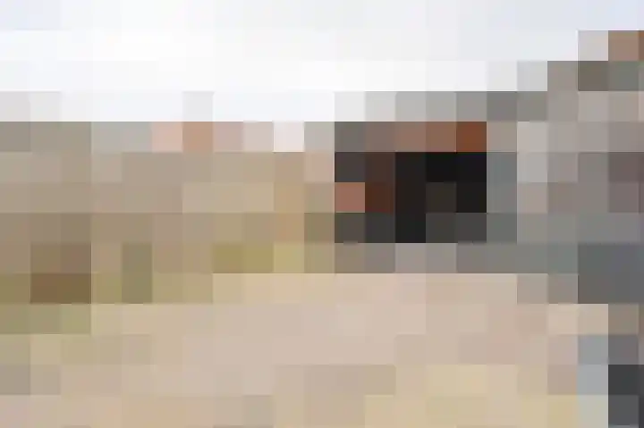 Kanariestraat 5 Spijkenisse thumbnail 13