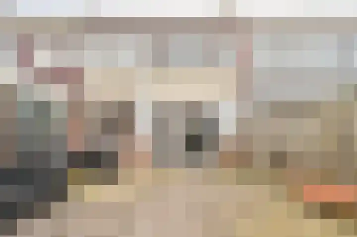 Kanariestraat 5 Spijkenisse thumbnail 15