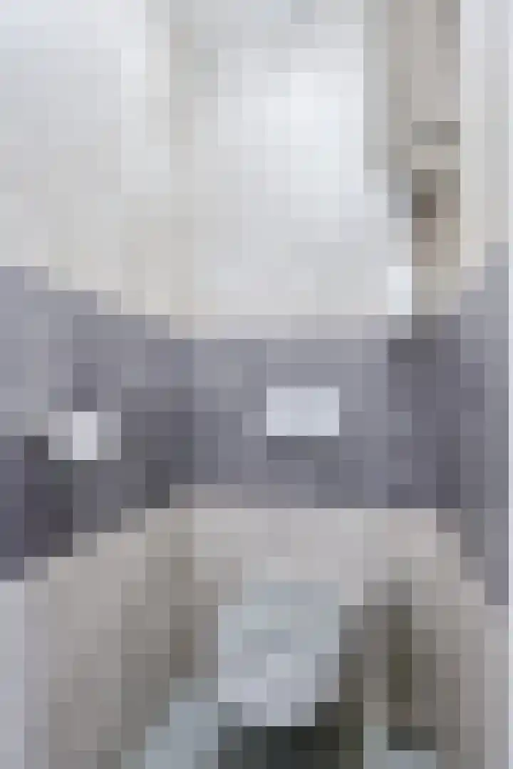 Kanariestraat 5 Spijkenisse thumbnail 4