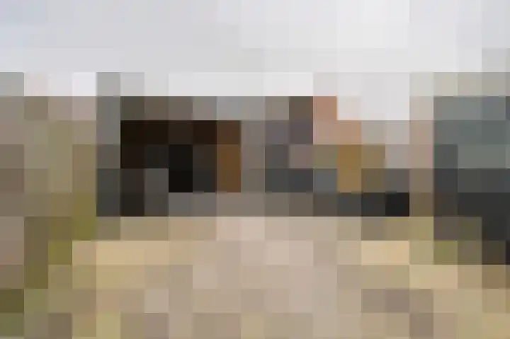 Kanariestraat 5 Spijkenisse thumbnail 5