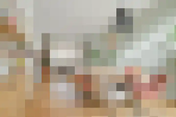 Kanariestraat 6 Breda thumbnail 19