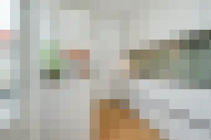 Kanariestraat 6 Breda thumbnail 23