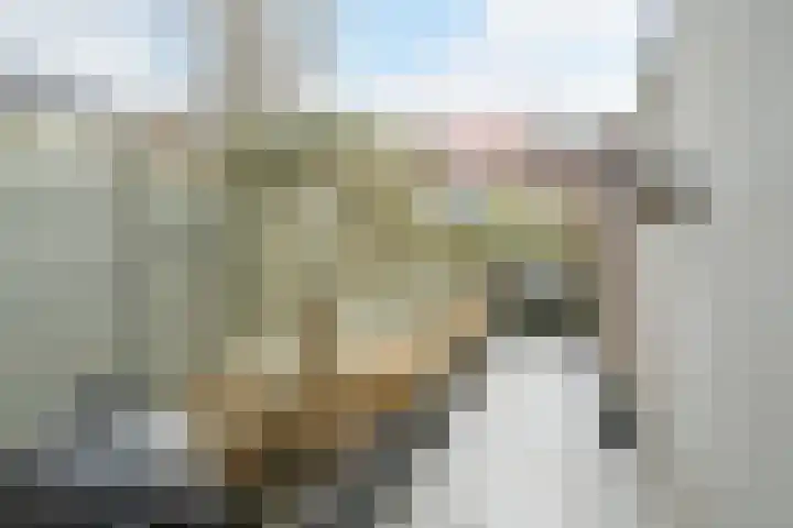 Kanariestraat 6 Breda thumbnail 32