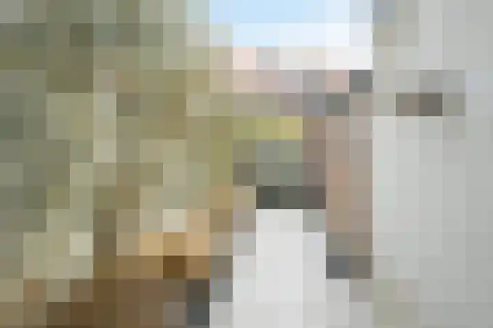 Kanariestraat 6 Breda thumbnail 33