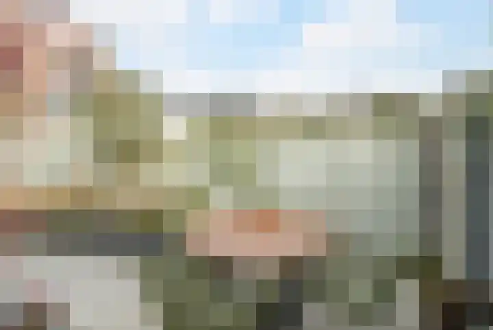 Kanariestraat 6 Breda thumbnail 35
