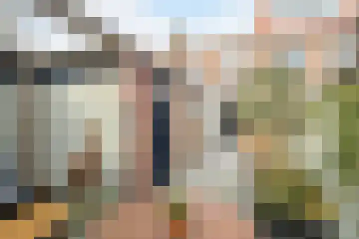 Kanariestraat 6 Breda thumbnail 38