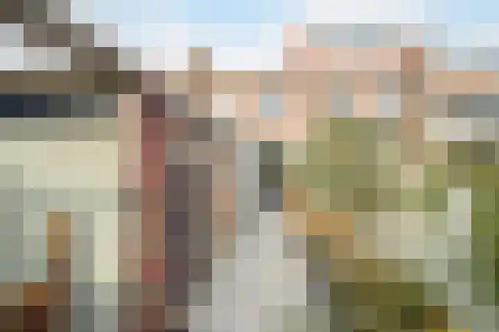 Kanariestraat 6 Breda thumbnail 39