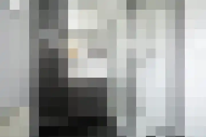 Kanariestraat 6 Breda thumbnail 4