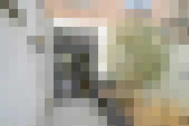 Kanariestraat 6 Breda thumbnail 42