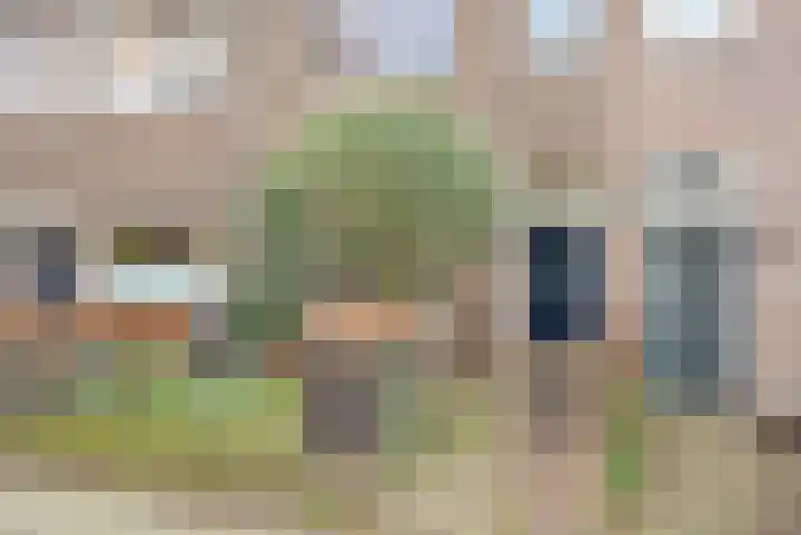Kanariestraat 6 Breda thumbnail 7