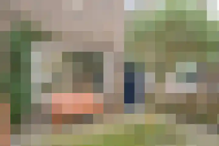 Kanariestraat 6 Breda thumbnail 8