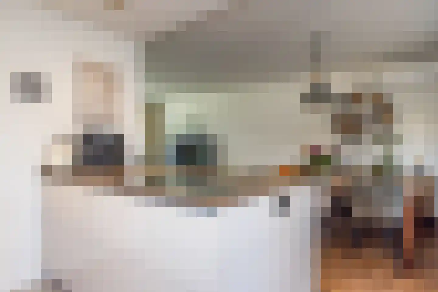 Kanariestraat 6 Eys thumbnail 12