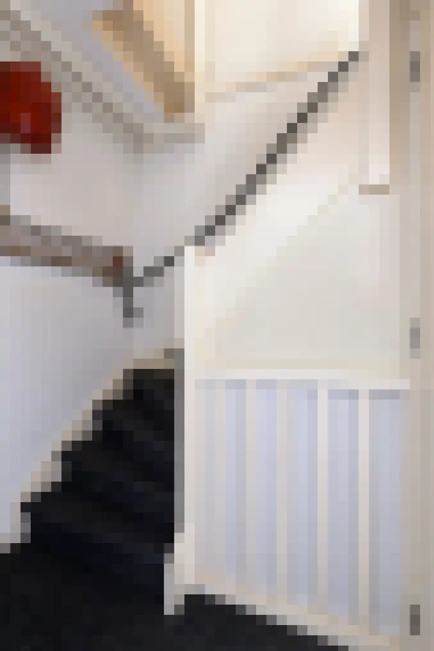 Kanariestraat 66 Haarlem thumbnail 17