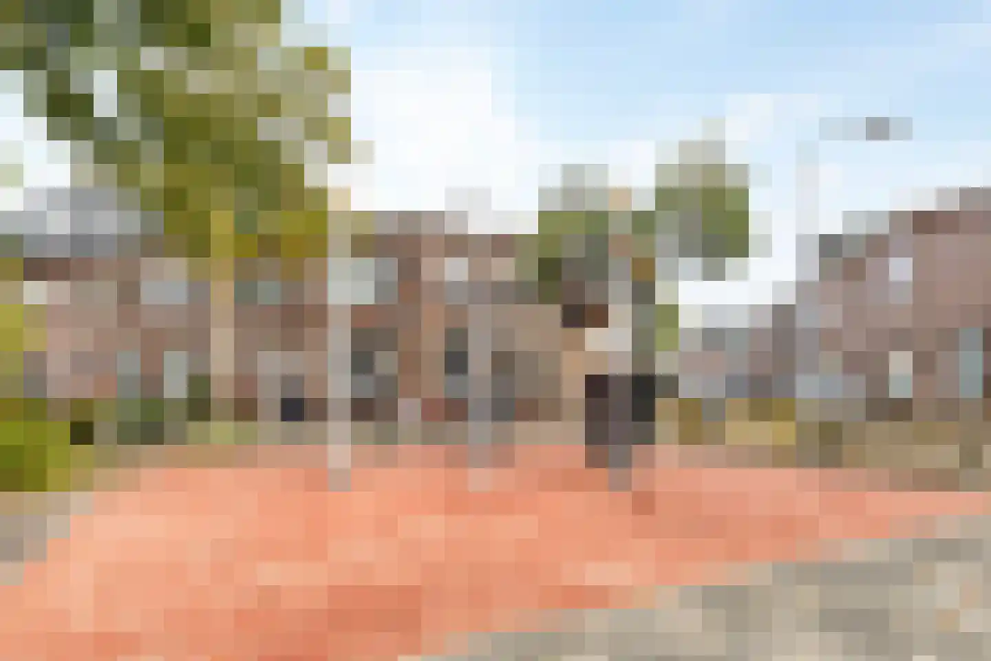 Kanariestraat 66 Haarlem thumbnail 38