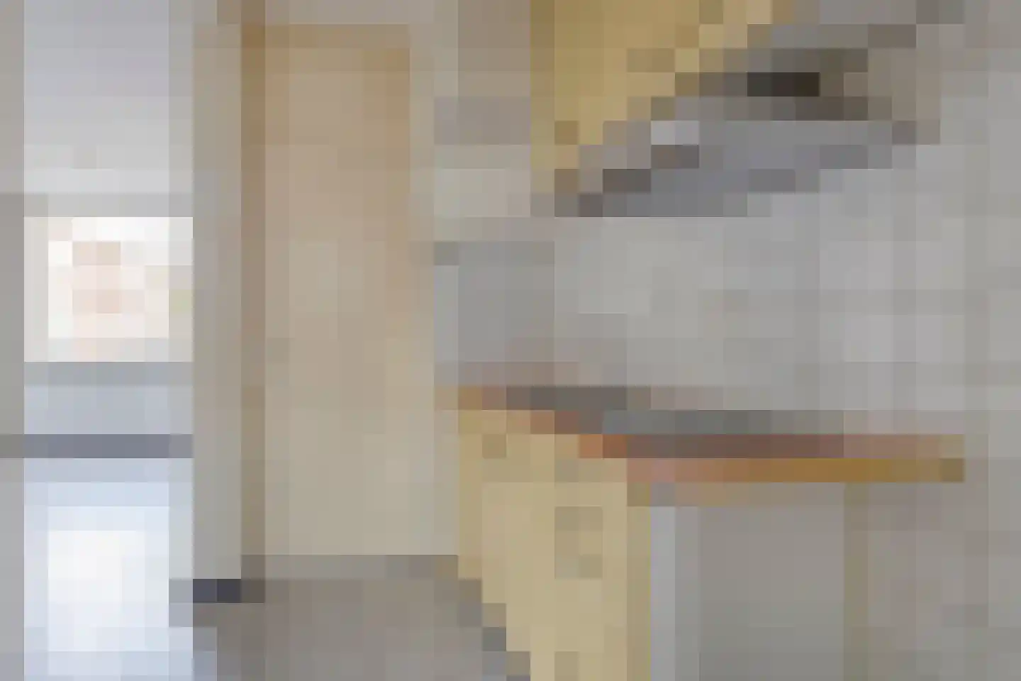 Kanariestraat 66 Haarlem thumbnail 6