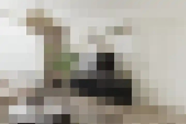 Kanariestraat 7 Zundert thumbnail 10