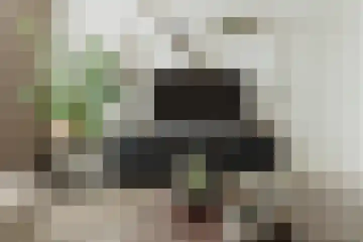 Kanariestraat 7 Zundert thumbnail 12