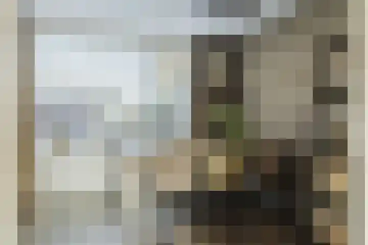 Kanariestraat 7 Zundert thumbnail 22