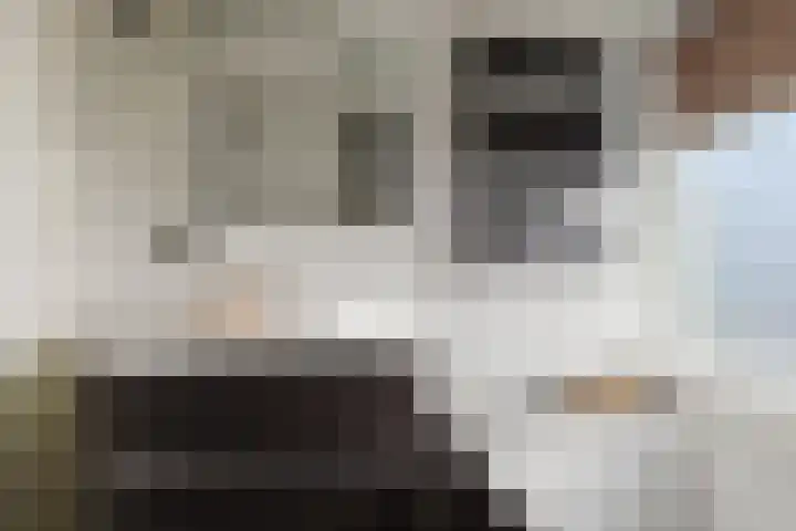 Kanariestraat 7 Zundert thumbnail 31