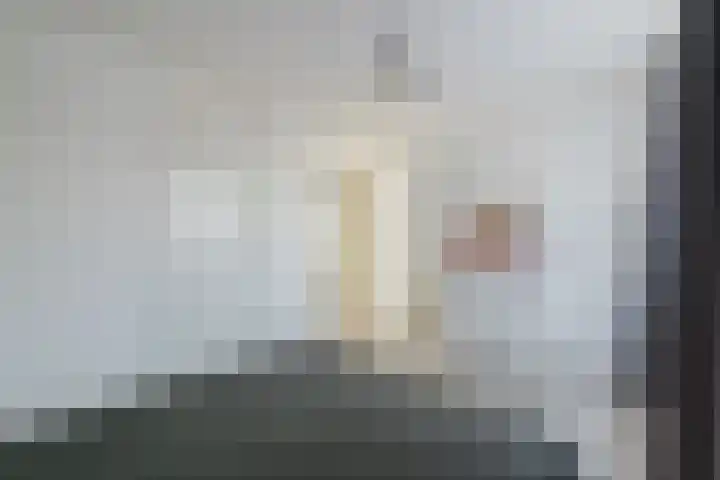 Kanariestraat 7 Zundert thumbnail 34