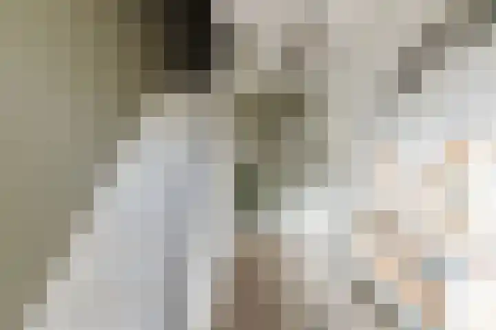 Kanariestraat 7 Zundert thumbnail 8