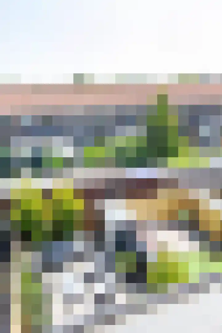 Kanariestraat 72 Haarlem thumbnail 33