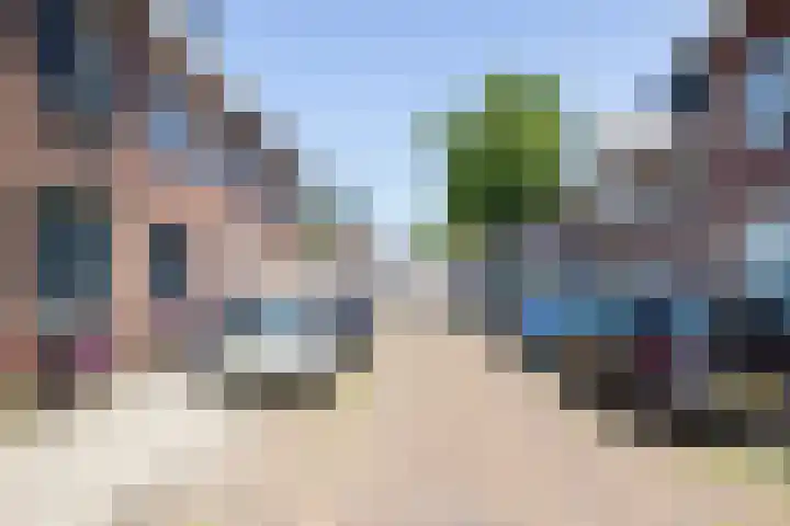 Kanariestraat 72 Haarlem thumbnail 36