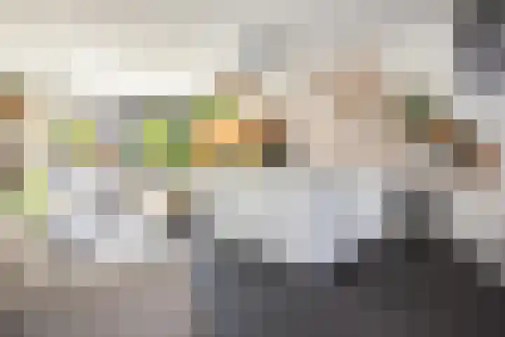 Kanariestraat 72 Haarlem thumbnail 5