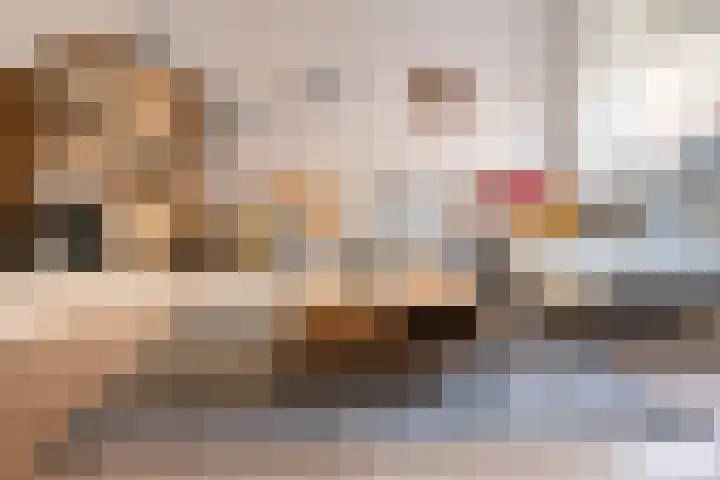 Kanariestraat 74 Haarlem thumbnail 6