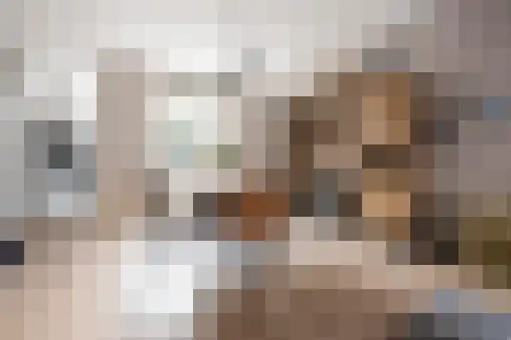 Kanariestraat 74 Haarlem thumbnail 7