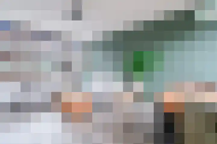 Kanariestraat 8 Spijkenisse thumbnail 11