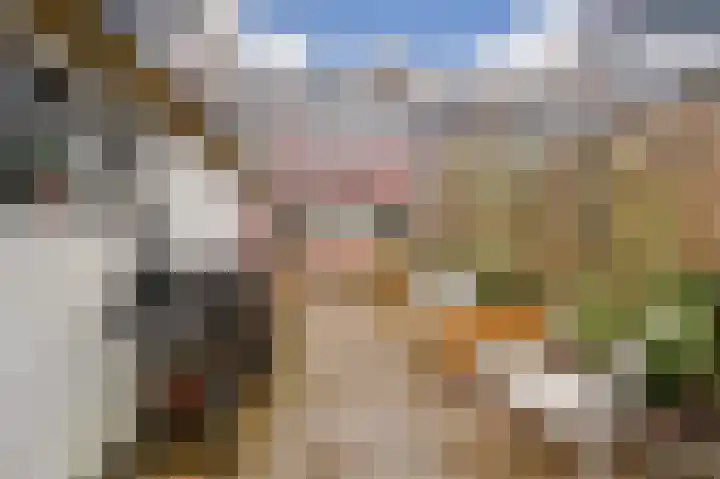 Kanariestraat 8 Spijkenisse thumbnail 16