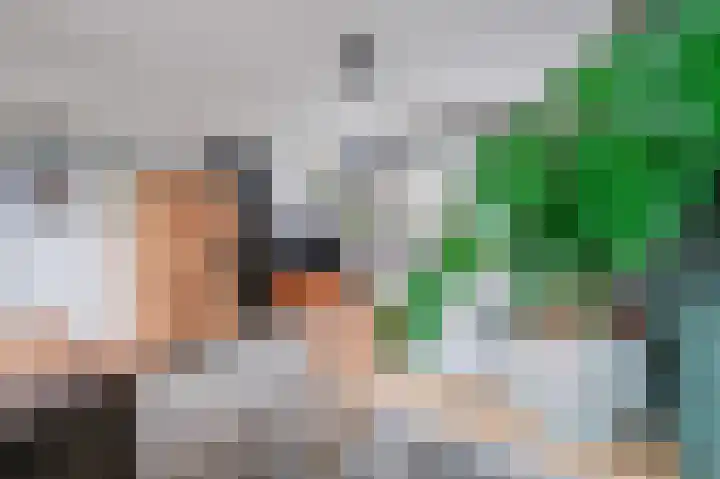 Kanariestraat 8 Spijkenisse thumbnail 18