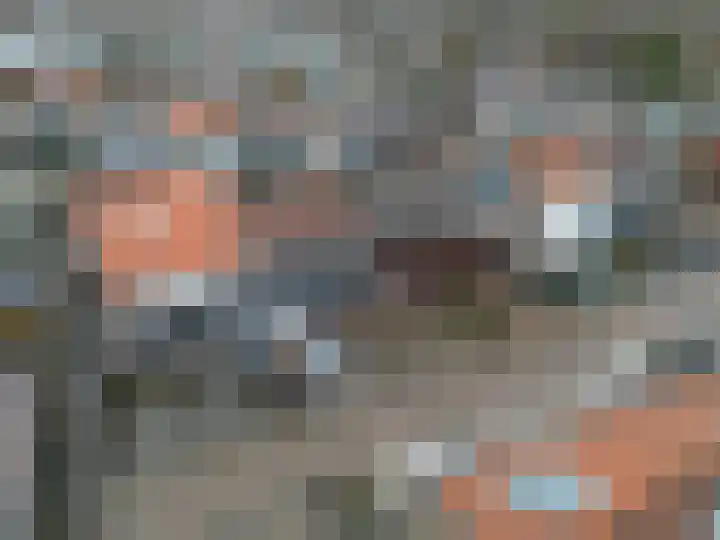 Kanariestraat 8 Spijkenisse thumbnail 6