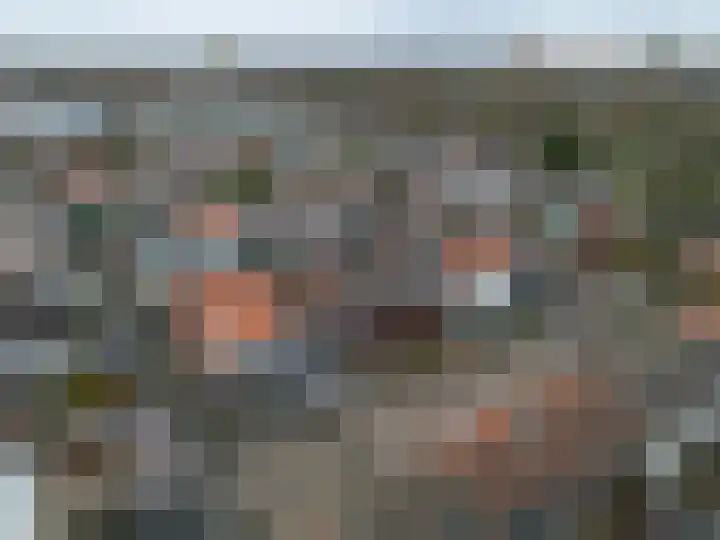 Kanariestraat 8 Spijkenisse thumbnail 7
