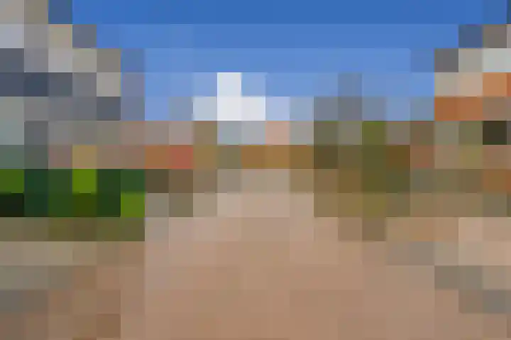 Kanariestraat 8 Spijkenisse thumbnail 8