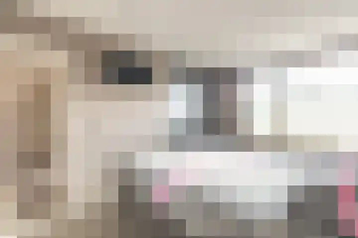 Kanariestraat 8 Zundert thumbnail 20