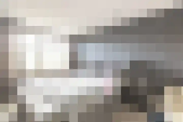 Kanariestraat 8 Zundert thumbnail 4