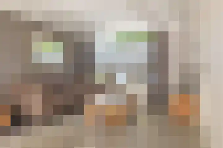 Kanariestraat 8 Zundert thumbnail 9