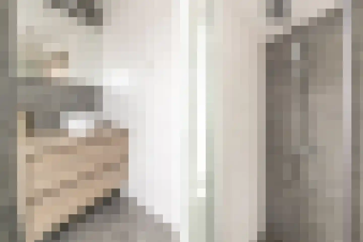 Kanariestraat 84 Haarlem thumbnail 21