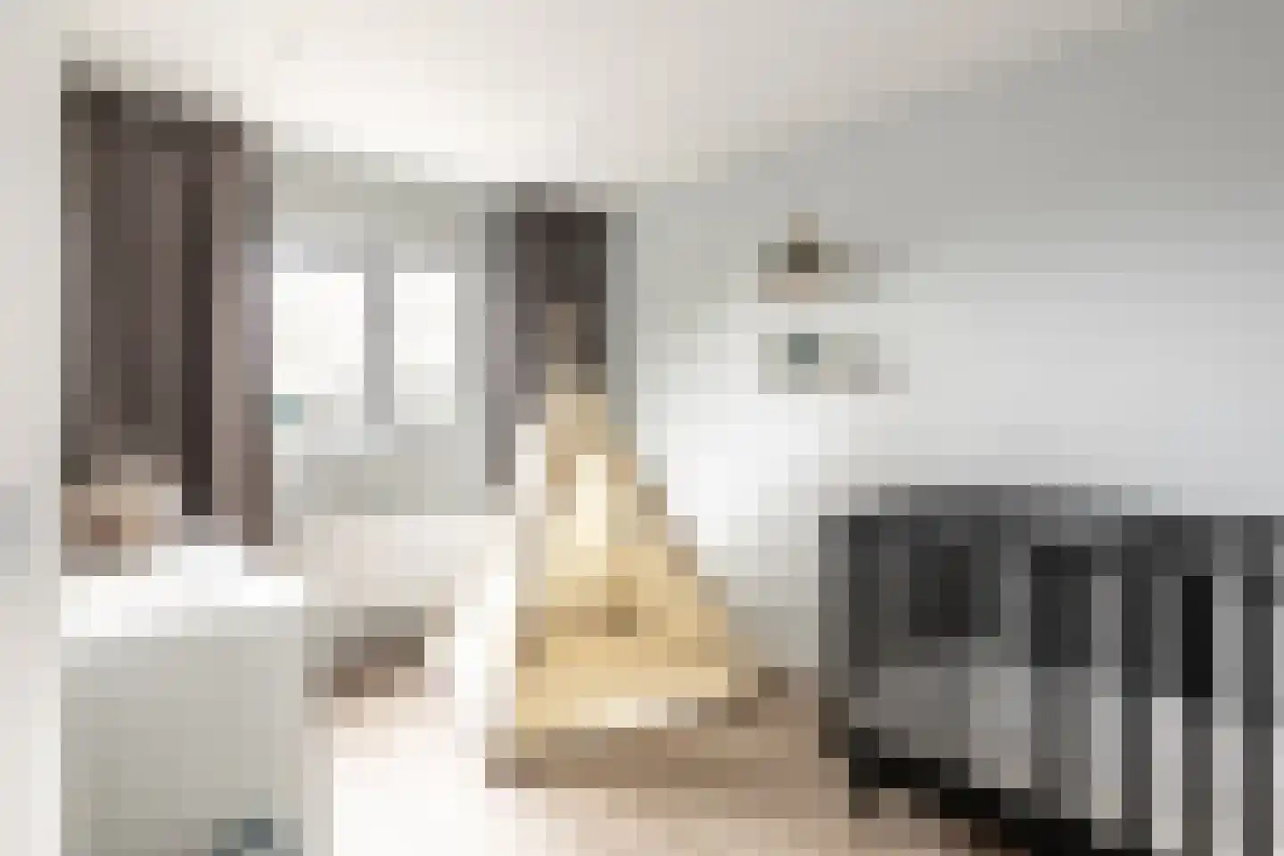 Kanariestraat 84 Haarlem thumbnail 23