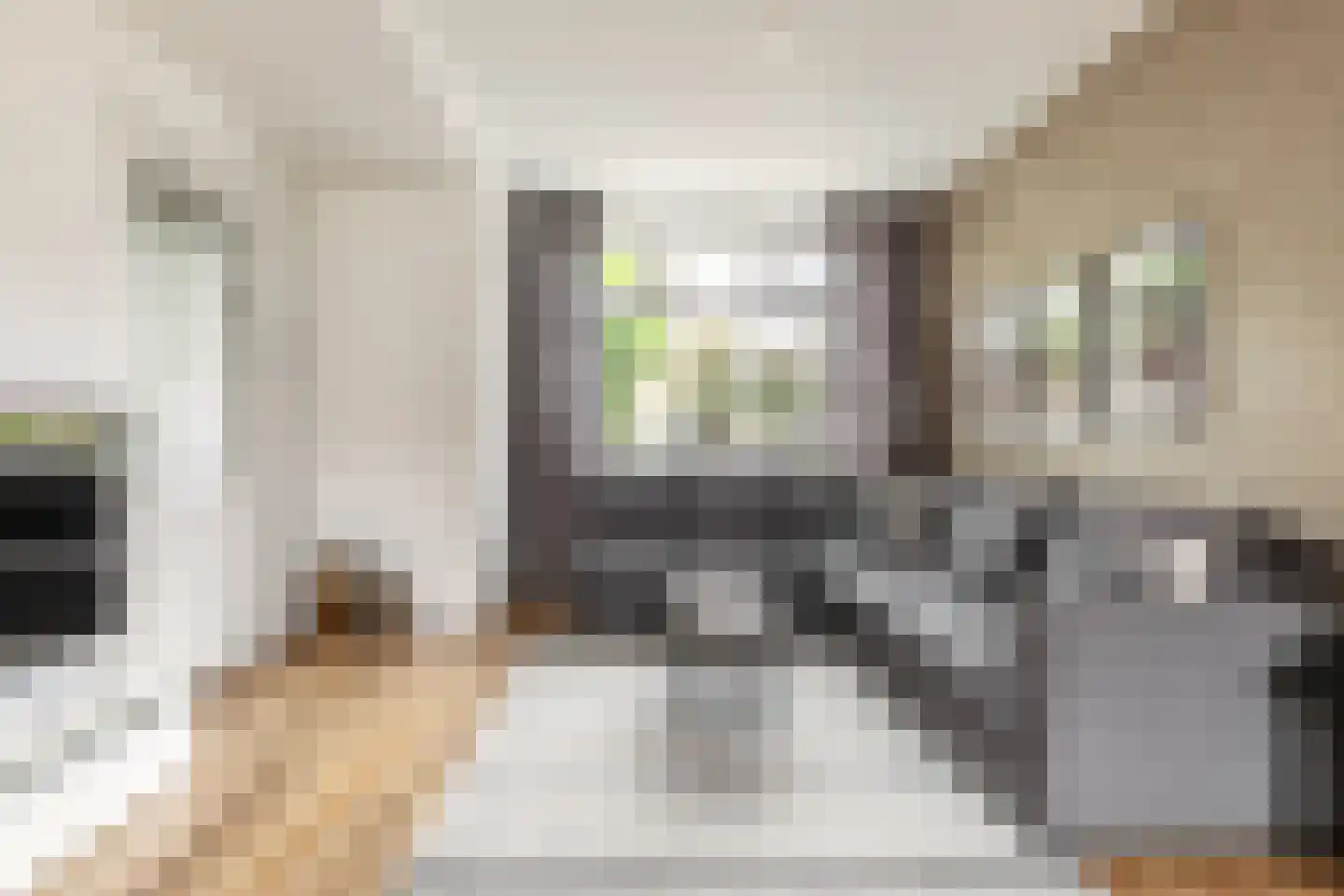 Kanariestraat 84 Haarlem thumbnail 4