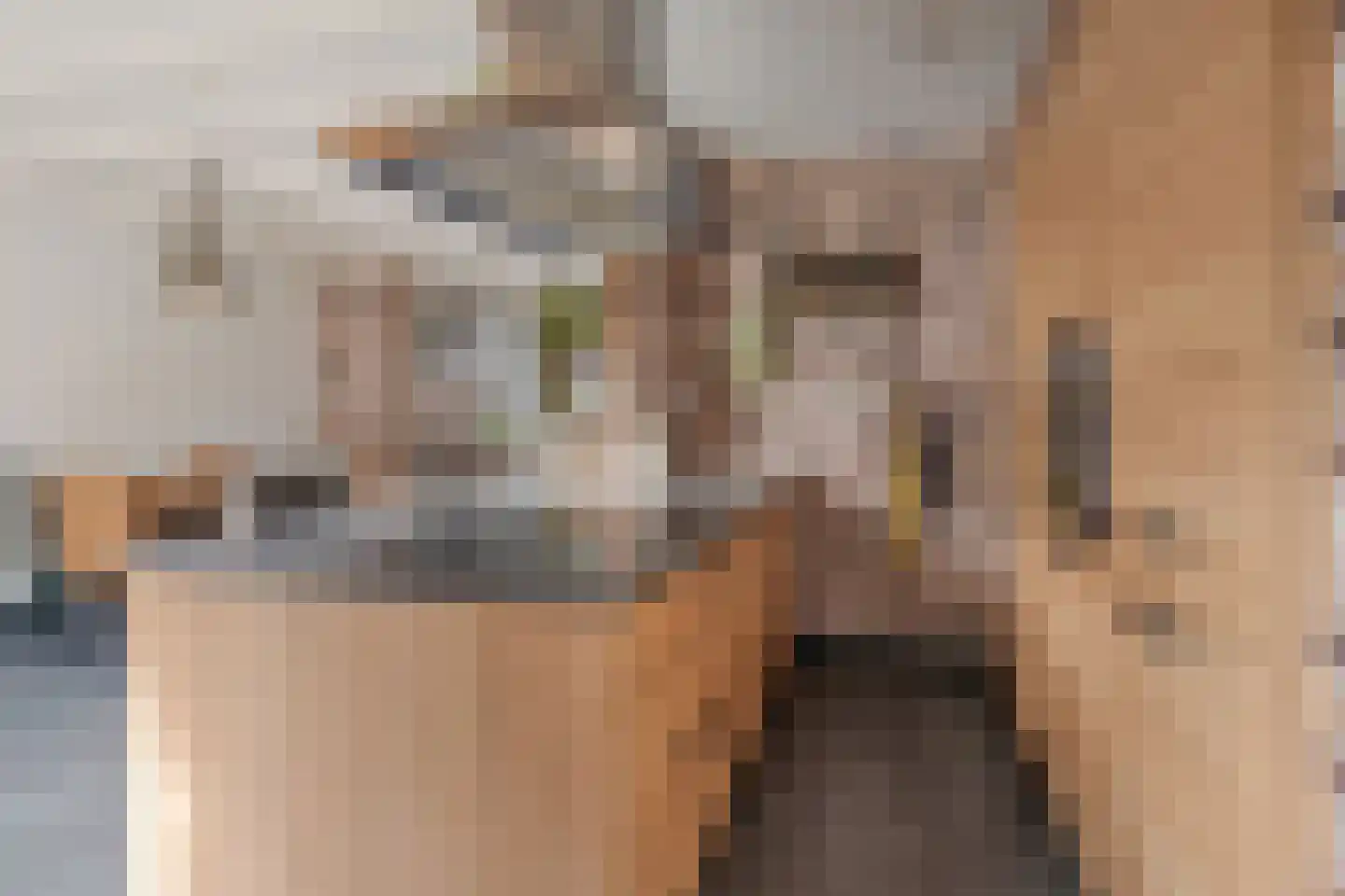 Kandijstraat 4 Stampersgat thumbnail 9