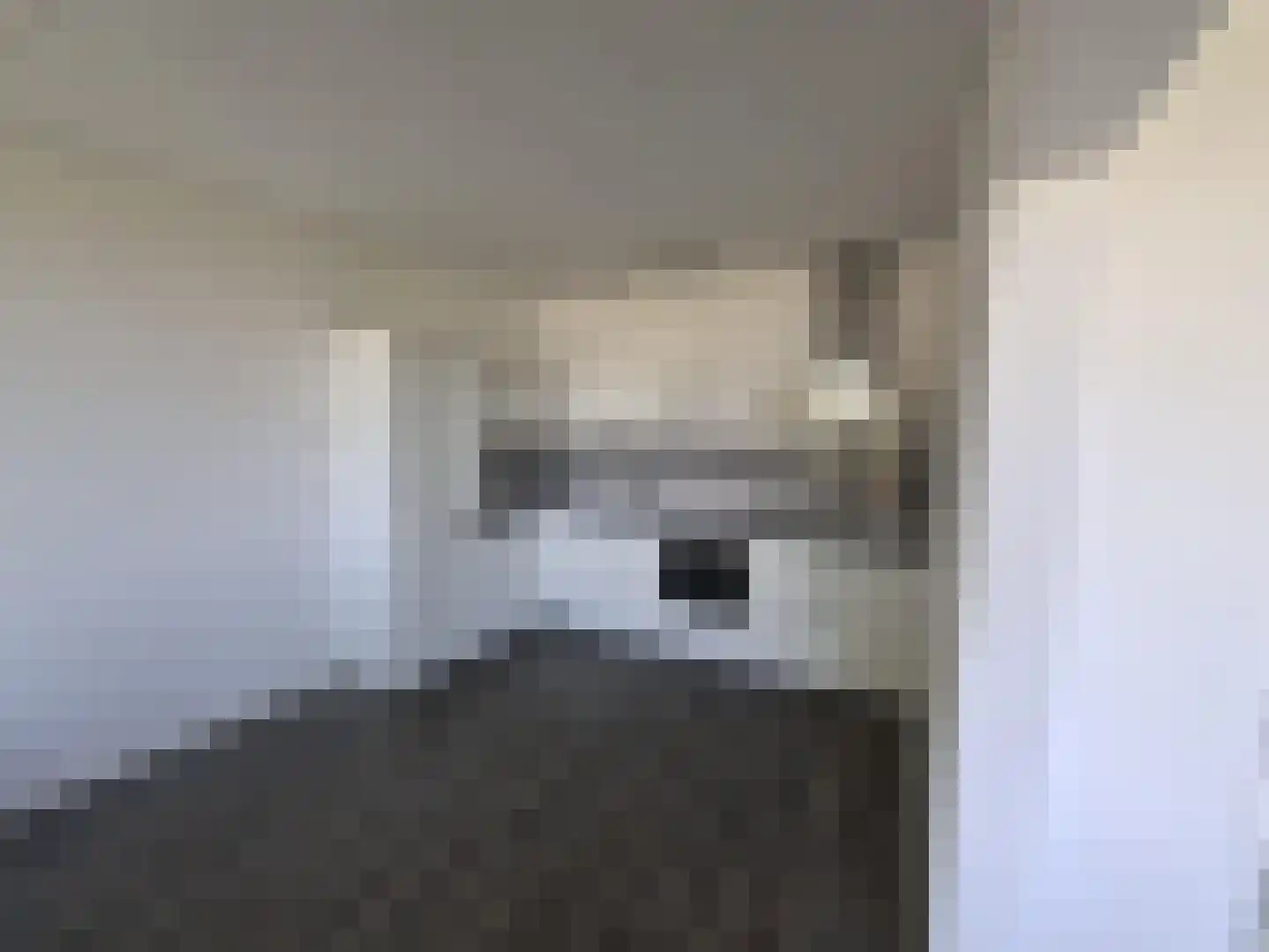Kaneelhof 15 Hoogvliet Rotterdam thumbnail 4